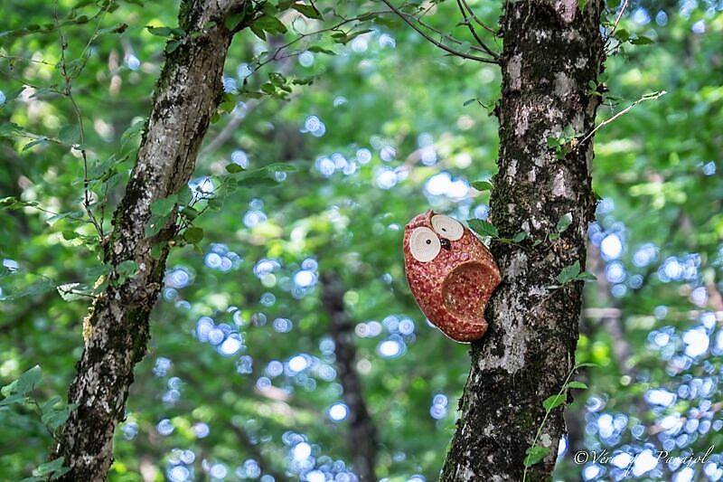 Les jardins du Coq, 16390 Montignac-le-Coq -6